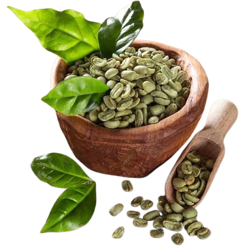 Jojong Arabica Green Bean