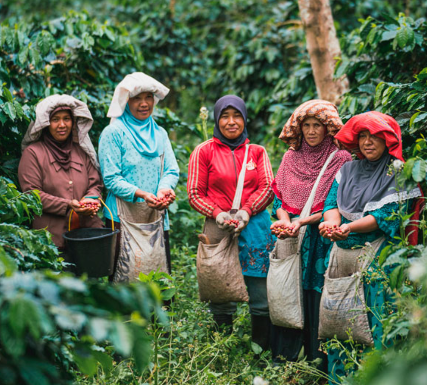 Petani